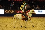 Quadrille - 00301